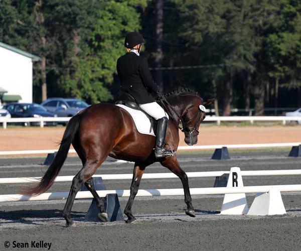 Que Linda- Quaterback mare